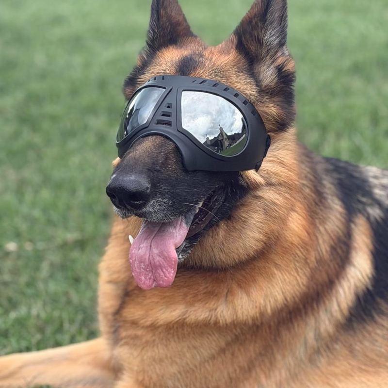Snow Goggle Uv - Очки для собак средних и крупных