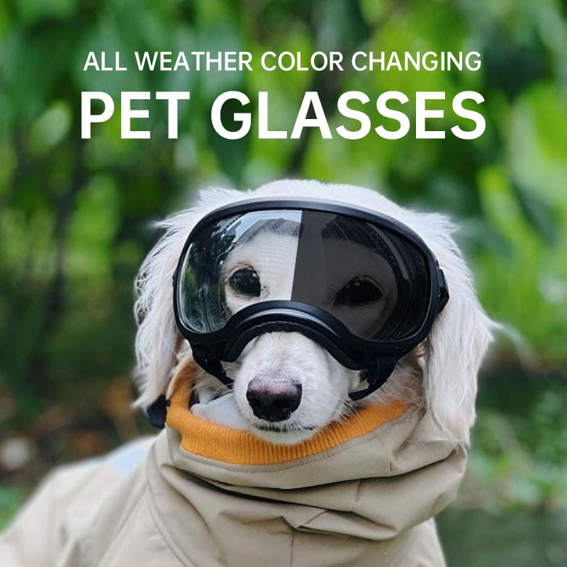 Snow Goggle Uv - Очки для собак, меняющие цвет, 2026