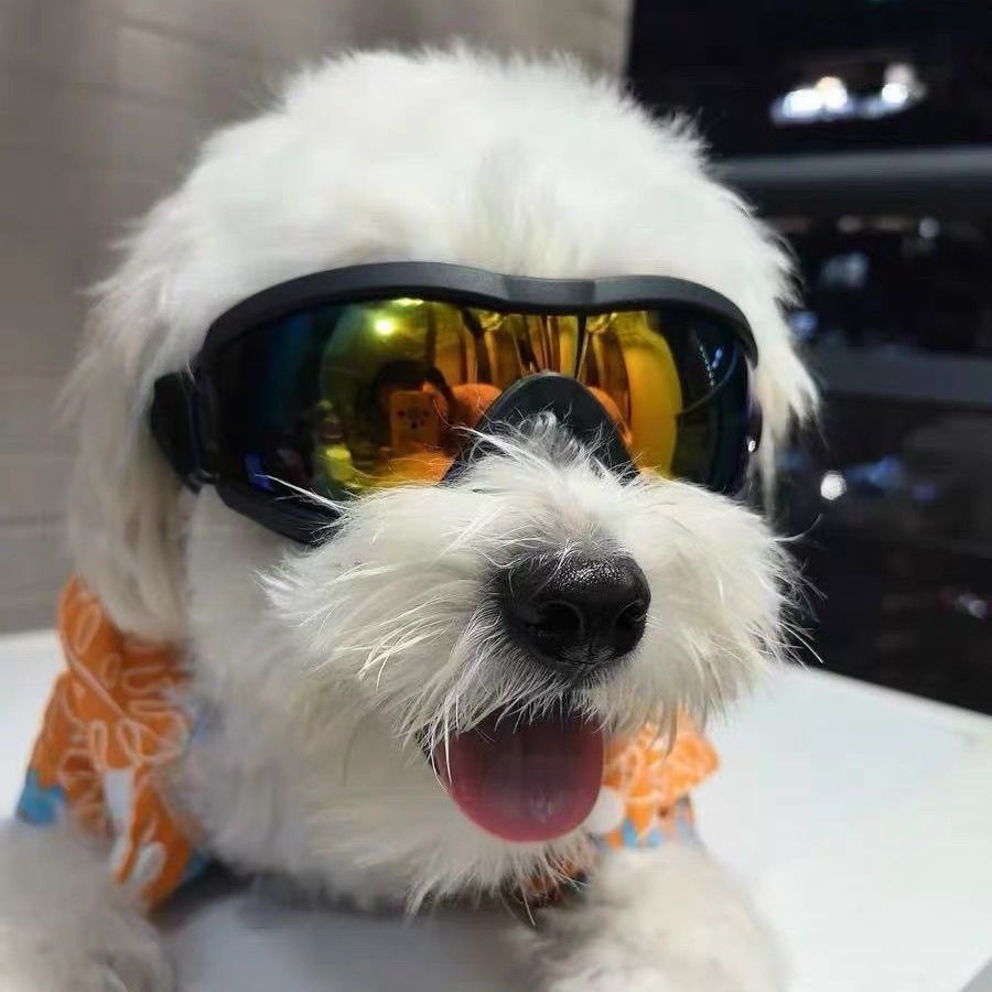 Регулируемые солнцезащитные оч – обзор и цена Snow Goggle Uv